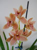 DSCN0850