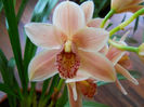 DSCN0869