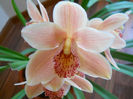 DSCN0870