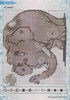 IMAGE0028