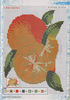 IMAGE0029