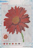 IMAGE0030