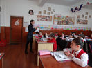 DSC00784