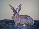 20130210_165506