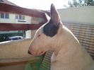 DSC00709