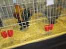 Picture 020