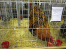 Picture 030