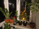 DSC06226