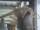 SAM_1150