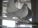 SAM_1151