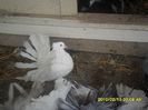 SAM_1170