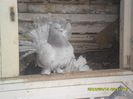 SAM_1182
