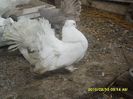 SAM_1191