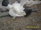 SAM_1192