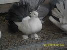 SAM_1205