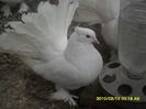 SAM_1207