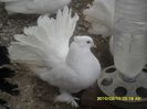 SAM_1208