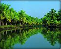 ● BackWaters in Kerala,South India ●