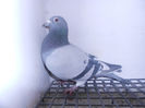 Picture 007