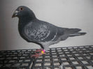 Picture 022