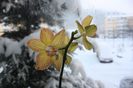 IMG_8843