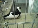 2013-02-01 11.51.43
