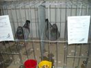 2013-02-01 11.52.38