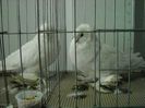2013-02-01 11.57.13