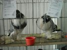 2013-02-01 11.57.34