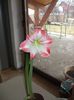 DSCF3142