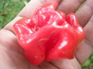Congo Trinidad