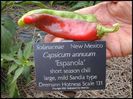 Espanhola Pepper