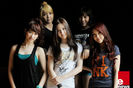 chocolat1