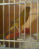 Fotogr.0060