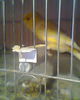 Fotogr.0061