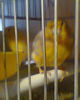 Fotogr.0067