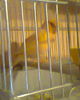 Fotogr.0074