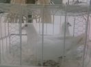 Photo0132