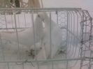Photo0133