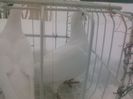 Photo0136