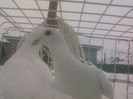 Photo0140