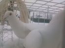 Photo0142