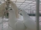 Photo0143