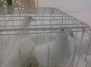 Photo0144