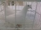 Photo0148