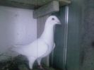 Photo0162