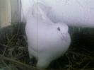 Photo0164