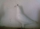 Photo0165