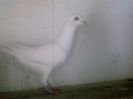 Photo0166
