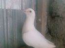 Photo0169